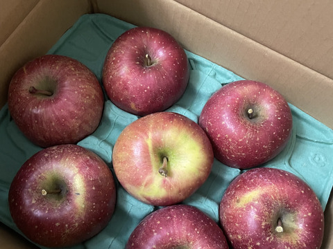 【朝市限定】令和7年度産早期予約セール7%OFF大玉から発送‼️🍎青森県産葉取らず完熟ふじ3キロ‼️味にとことんこだわりました😊