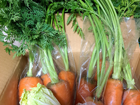 【渥美半島から】おいしい人参2ｋｇ