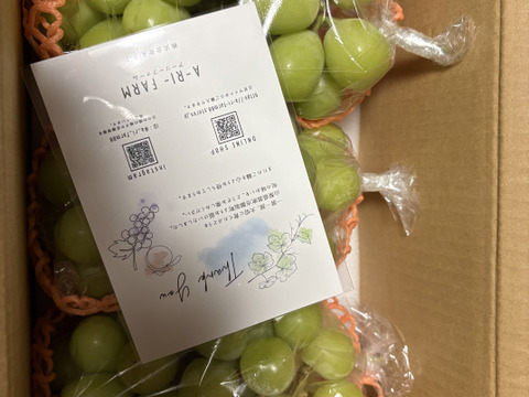 クール便🟢家庭用🟢ちょっぴり訳あり☆【朝どれ】種なしシャイン
