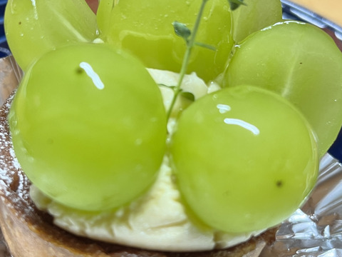 【先行予約】パリッと食感の高糖度タネ無しシャインマスカット！　500g〜600g 1房　/静岡市 Mando Farm 直送　9月中旬〜10月発送