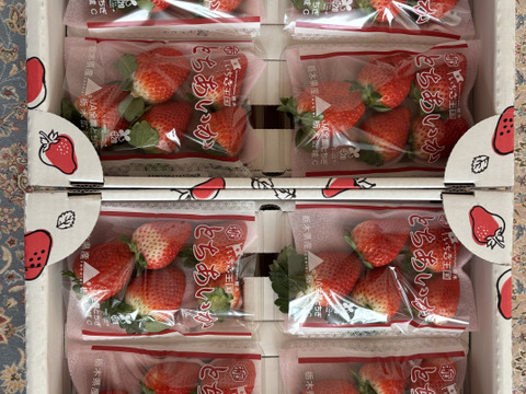 (8P)約2kg【いちご・とちあいか】実がしっかりして酸味が少なく甘さが際立つ新品種★どどーんと(８パックx260g)「とちあいか」栃木県産いちご●嬉しい日のいちご●お届け日指定可