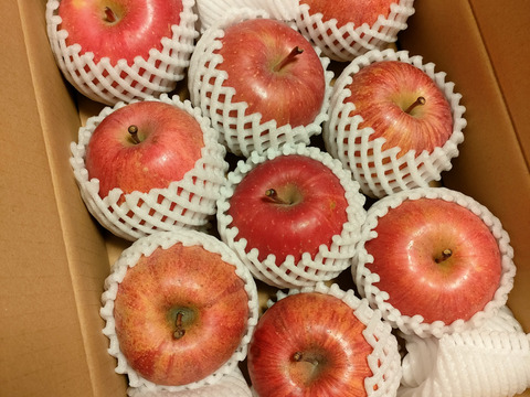 【販売開始！人気商品】青森県産りんご「サンふじ」家庭用 キズ有 約3kg 【美味・光センサー選果済】