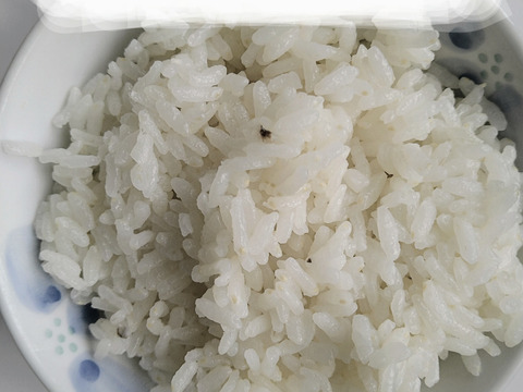 【自然のお米を目指しました】ひとめぼれ4kg 特別栽培米(農薬８割削減、化学肥料半減)　着色米がありますが、そのまま炊いて食べてください。昔から農家では食べていた自然のおいしさです。
