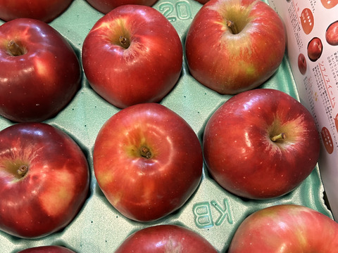 10月中旬以降発送🍎紅玉🍎5kg すっぱいりんご❗低農薬で皮ごと