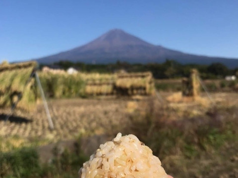 富士山麓。自然栽培(なにもいれない）の玄米５ｋｇ