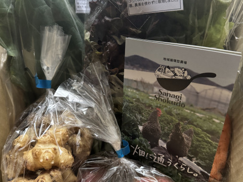 採れたて！季節の野菜セットSサイズ(固定種野菜・農薬不使用)