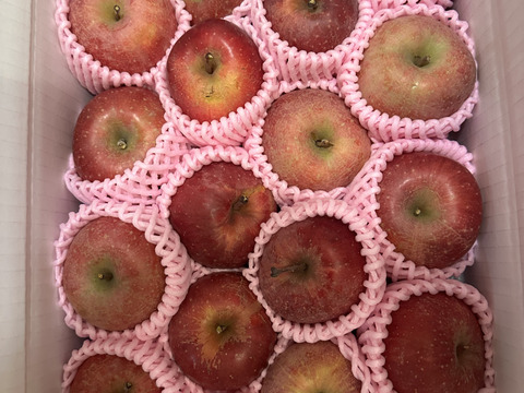 まるせい果樹園のサンふじ　贈答用　家庭用　自家用　小玉　約3キロ rfk