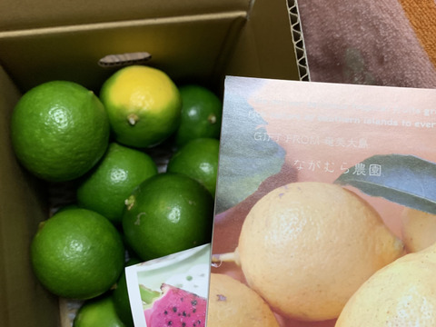 大好評！奄美大島産の島れもん(1.5kg)✿芳醇な香りと爽やかな味✿リピート急増中の農薬不使用栽培の国産レモンです