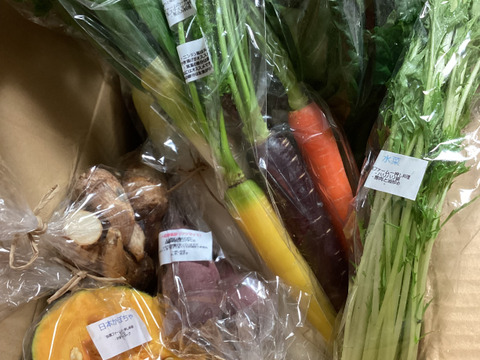 自然栽培野菜一人暮らしの方にオススメセット【7〜9 種類】