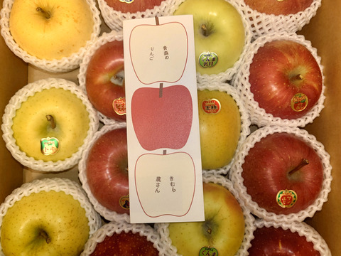 🍎毎日食べてもらいたい！🍎ジューシー◆甘さが違う！葉とらず入り品種ミックス🍎贈答用5キロ【冬ギフト】のし対応