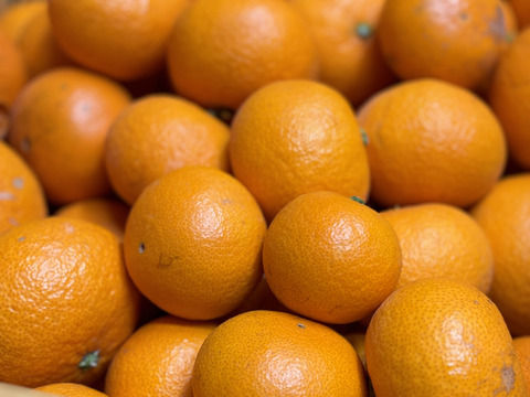 濃厚な甘味とあふれる果汁！石地温州みかん🍊　約3kg