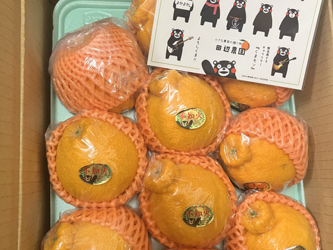 めちゃ大人気❗️不知火デコ柑2、5キロ7〜12玉