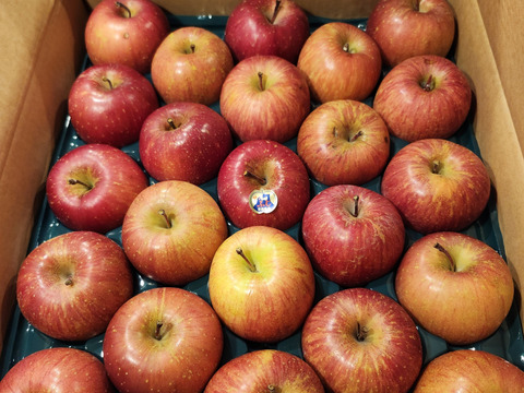 青森県産りんご 蜜入り 　旨いに自信アリ！！
【メディアや新聞からお声が掛かり注文殺到】
在庫が少ないので大特価となっております。

極み自然オリジナル農法りんご栽培家庭用葉とらずサンふじ５kg