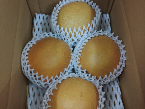 【鳥取産】王秋梨