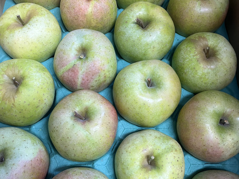 訳あり 王林 3キロ箱11～13玉