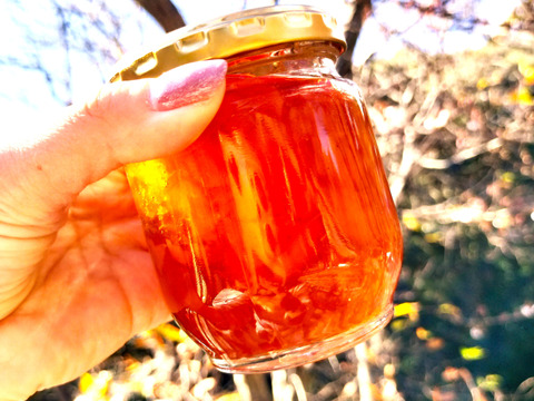 ハンドメイド『グレープフルーツマーマレード』【無添加・白砂糖不使用】200cc