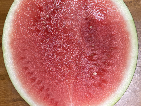 黒皮種なし大玉スイカ【ブラックジャック】7kg以上