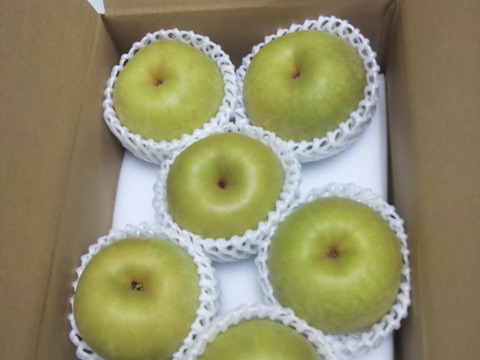 幸水梨 6～8玉 2.5ｋｇ