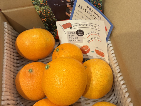 まるで天然ゼリー！まどんな（ご家庭用・2㎏）