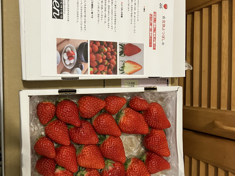 完熟よつぼし☆（ご家庭用・約530g×2箱）