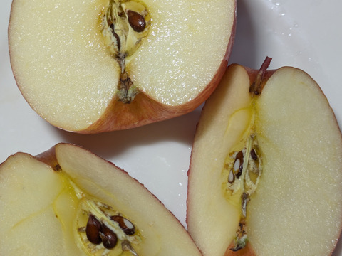 りんご　サンふじ　約６８％農薬カット　20-23個　約6キロ　小玉多め　天然冷蔵庫で冬越したもの。シワシワ有りで、かなり鮮度落ちてます。