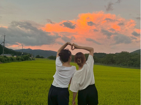 滋賀県高島市朽木産　令和6年産　こしひかり100％　5㎏