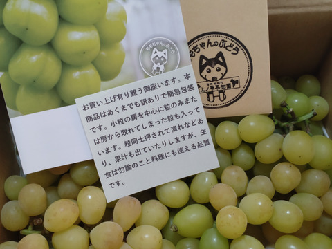贅沢におうちでお料理に最適な量を簡易包装シャインマスカット２㎏以上確実！