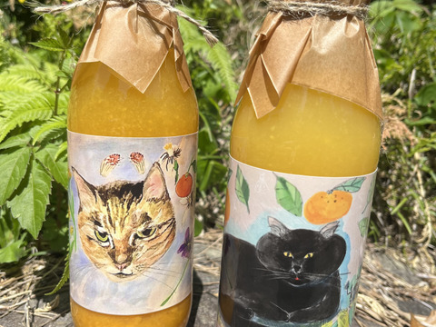 【農薬不使用】ネーブルオレンジストレートジュース&青島みかんストレートジュースセット