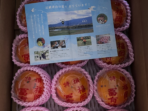 【ご家庭用（『小玉！』・少々キズあり）】冷蔵柿（富有柿）15個前後入り　福岡県久留米市田主丸町産