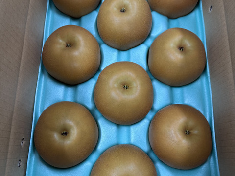 大玉【秋のほほえみ】千葉県松戸市産　甚左衛門の梨　6玉〜12玉　【敬老の日ギフト】にも最適