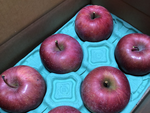 【長野県産】【数量限定】
蜜たっぷり！一度食べたら病みつき！
【秀品】【糖度16度以上】
サンふじ　贈答用　3kg