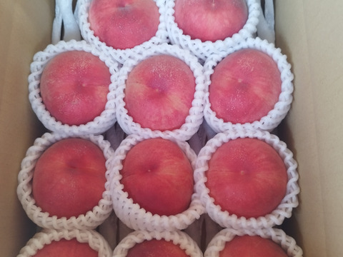 昴紀　2.5kg １０玉前後