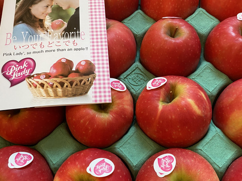 発送中🍎ピンクレディー®︎  5キロ箱 16玉〜33玉サイズ  長野県 信州 安曇野 リンゴ 幻 幻のリンゴ 予約 希少 ID64029 ピンクレディー
