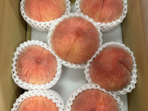 桃の概念が変わる硬さ【おどろき】訳あり品・ご家庭用 3kg