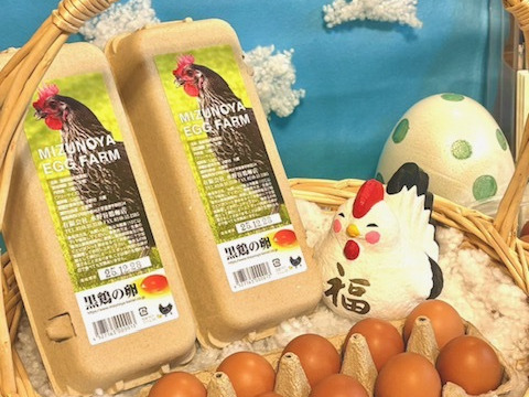 濃厚！希少品種『ネラ』の黒鶏（くろどり）の卵（50個入）