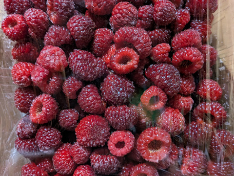 冷凍ラズベリー約1キロ 【栽培期間中農薬不使用】冷凍 ジャム 加工用 商品ID77302