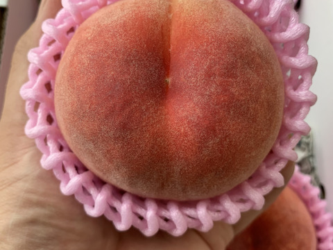 【限定お試し価格‼︎】品種お任せ‼︎6〜8玉‼︎あかつき、川中島、約1.5kg〜