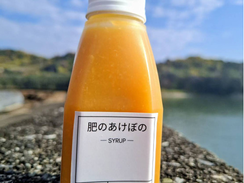 laNui labo.　肥のあけぼのシロップ150㎖/本×3本　🍊デコポン発祥の地・不知火町より