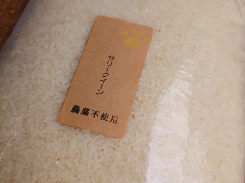 サリークイーン　２ｋｇ　農薬不使用　有機肥料使用　「２０２３年産」