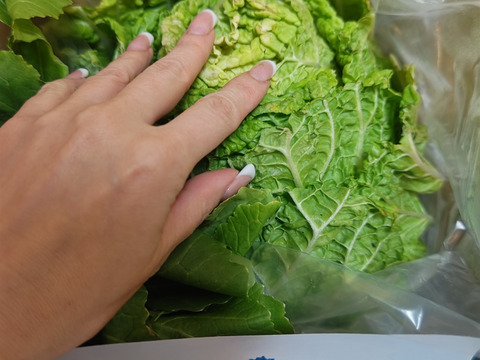 京の冬野菜セット【漢方栽培】