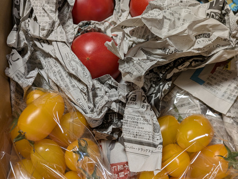 新商品❗あま～いプチトマト
(イエローアイコ)　
酸味が無くとにかく甘い💛
赤アイコとの合わせ買いに最適です。