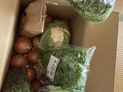 【福袋】玉ねぎ4kg🧅とキヌヒカリ白米2kgその他葉物野菜など3種類以上の野菜セット