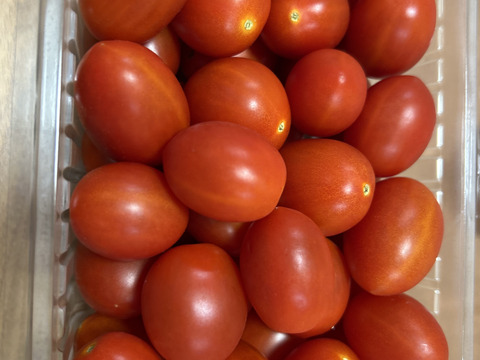 朝どれ高糖度フルーツトマト（シュガープラム） 800g