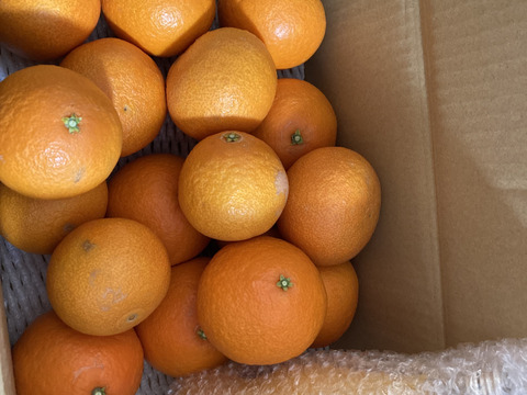 【数量限定福袋】まどんな家庭用4キロ＋みかんジュース小瓶1本付き※1月6日から順次発送