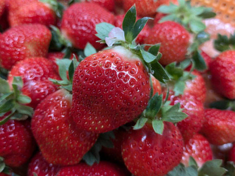 あまおう サイズ色々！270ｇ×4パック　たっぷり1080ｇSP