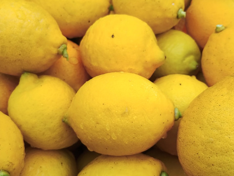 【完熟】【栽培期間農薬不使用】大崎上島産レモン2kg