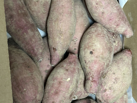 甘味あふれるオーガニック安納芋・中小サイズ(火が通りやすい)箱込み2kg・種子島産