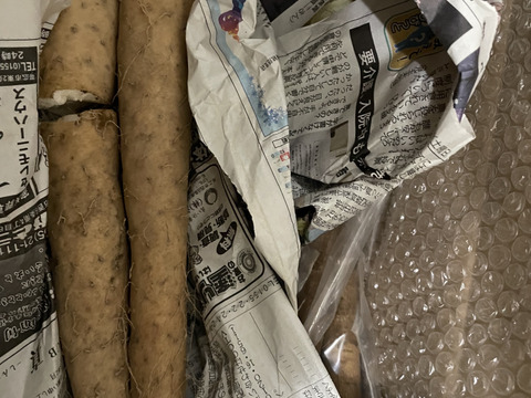 【メークイン１kg】★組み合わせ自由なセット★１kg単位でお好きな量‼️(他、中サイズ長芋.じゃがいも.ごぼう.玉ねぎ等と組み合わせ出来ます)