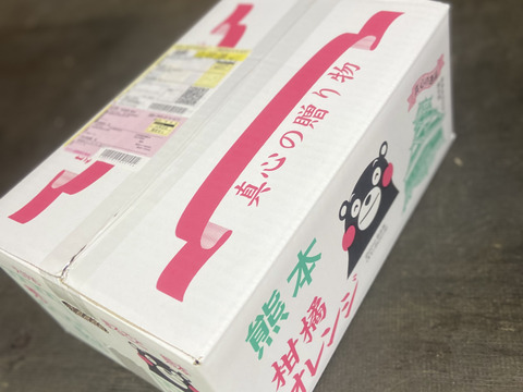 完熟冬みかん🍊　　　冬の寒さに耐えて樹上完熟みかん🍊甘ーいみかんです。酸味が欲しい方には少し物足りないかもしれません！