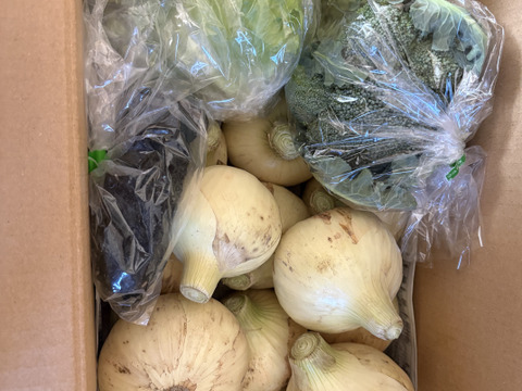 大好評，地層が違う淡路島、新玉ねぎスーパーアップ３キロ(風袋込み)